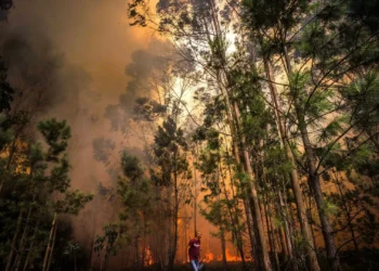 Fogos “preocupantes” em Ponte da Barca, Penamacor e Arouca: “Intensidade”