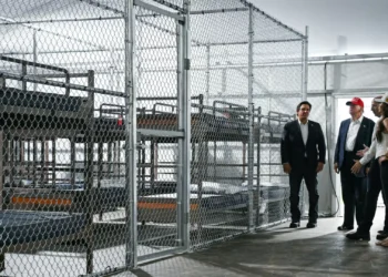 Ecologistas denunciam catástrofe natural resultante do Alligator Alcatraz