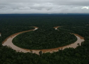 COP30 em Belém: transformações sociais e ambientais para 500 mil pessoas, segundo BNDES