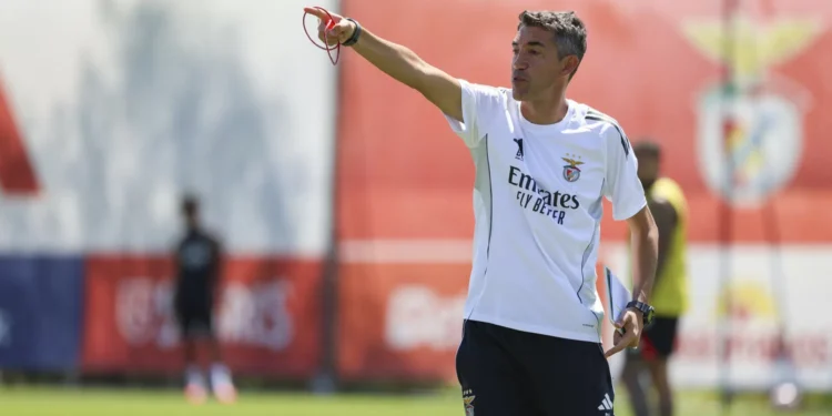 Fenerbahçe é tira-teimas antes de arranque infernal de época do Benfica