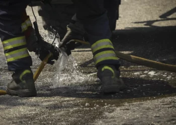 Onze trabalhadores florestais morreram durante combate a fogo na Turquia