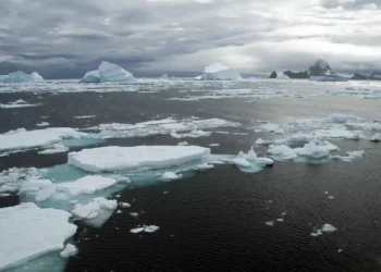 Oceano Ártico não congelou mesmo durante duas eras glaciais, revela estudo