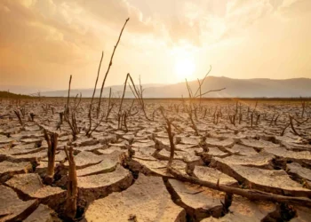Perda de água doce atinge níveis inéditos no planeta, diz estudo