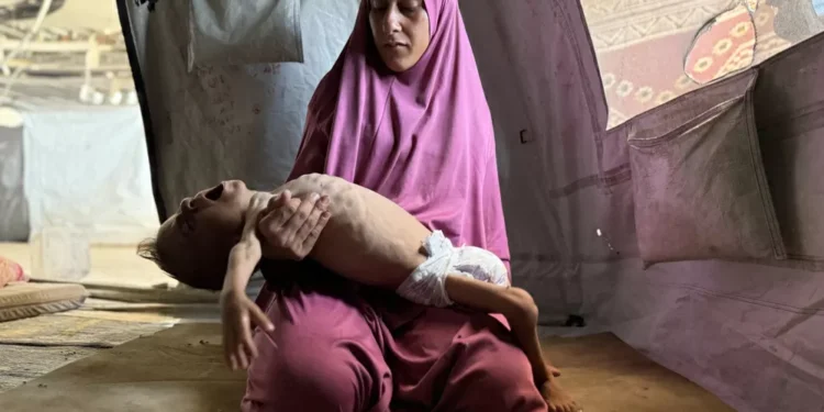 Com o aumento da fome em Gaza, Reino Unido pode rever posição histórica e reconhecer o Estado Palestino