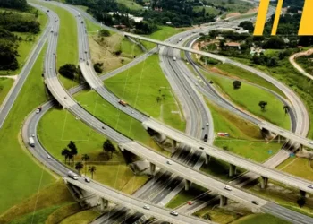 Rodovias mais verdes: Motiva fará plano para proteger fauna e flora