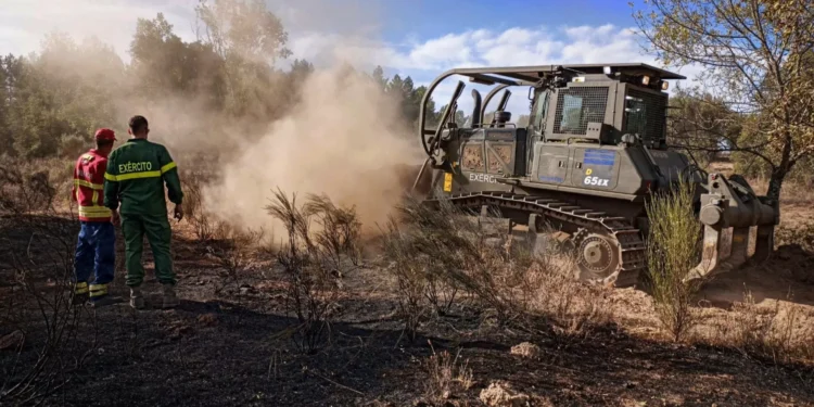 Máquinas de rastos são aliadas no combate a fogos. O que são e os riscos
