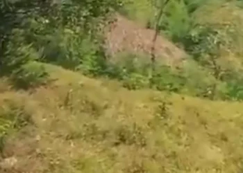 Confrontos na Colômbia matam seis polícias e fazem sete feridos