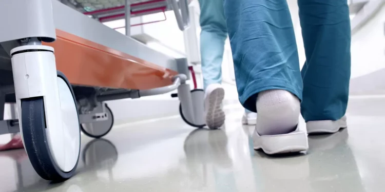 Jovens profissionais entregam ao Governo plano para reter talento no SNS