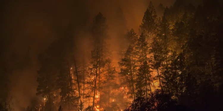 Frente na serra do Alvão tem cerca de dois quilómetros