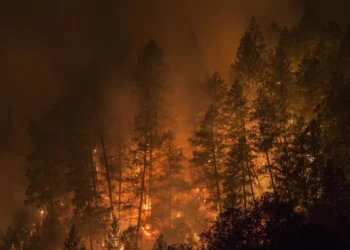Frente na serra do Alvão tem cerca de dois quilómetros