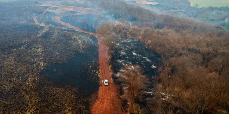 Cetesb suspende queimadas controladas em São Paulo por 30 dias