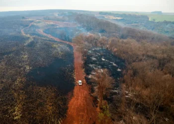 Cetesb suspende queimadas controladas em São Paulo por 30 dias