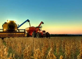 Análise: Banco do Brasil joga limpo sobre inadimplência, mostra plano e convence mercado… por enquanto