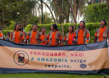 Em protesto contra a Ferrogrão, indígenas se reúnem em Brasília