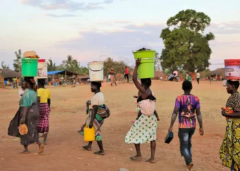 Terroristas reivindicam mais dois ataques e cinco mortos em Cabo Delgado