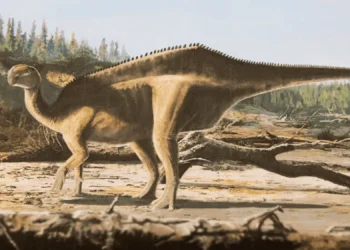 Cientistas descobrem novo dinossauro com “vela” nas costas