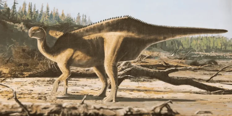 Cientistas descobrem novo dinossauro com “vela” nas costas