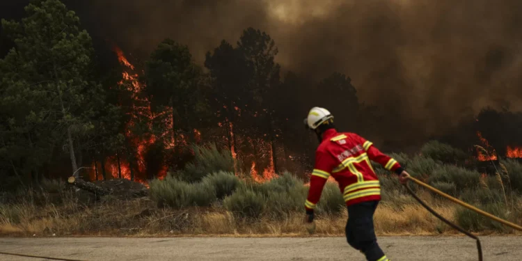 Mais de 2.500 operacionais combatem 22 incêndios em curso